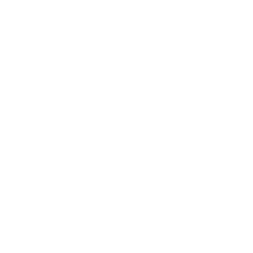 Geographic Segmentation