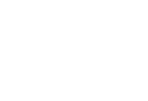 logomark-white
